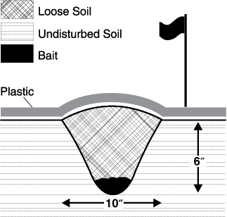 Wireworm bait station diagram