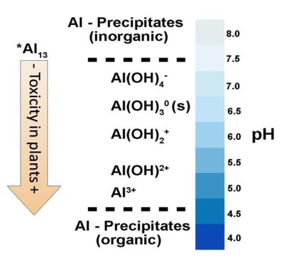 changes in Al3+ ionic species as soil pH changes