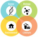Image displaying Genes, Biology, Environment, and Lifestyle 