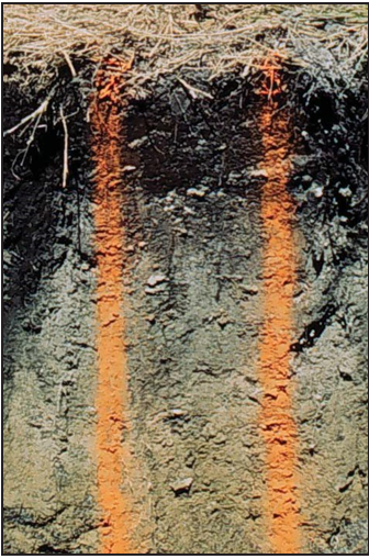 slice of soil showing layers