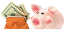 photo of piggy bank and money