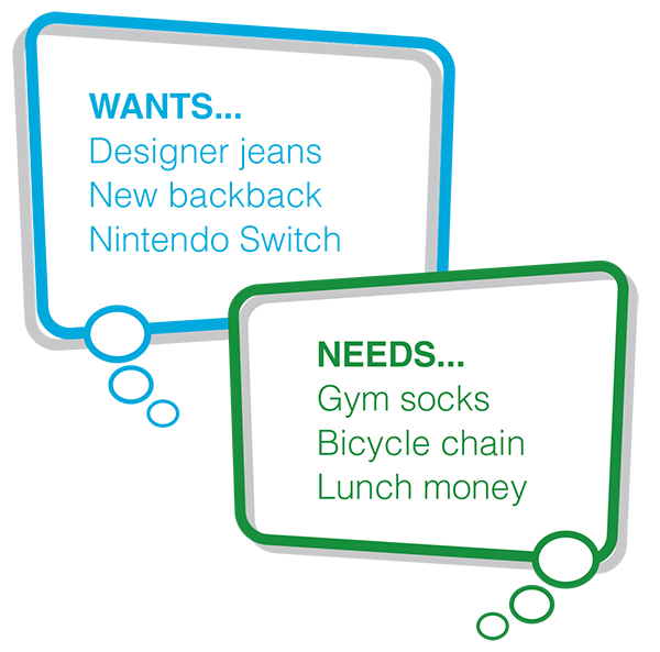 examples of wants and needs