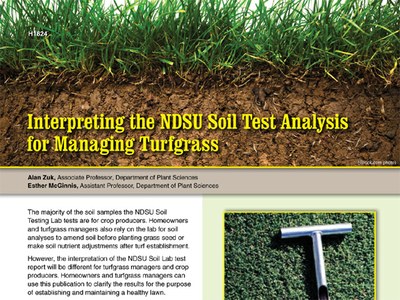 Soil testing for lawns