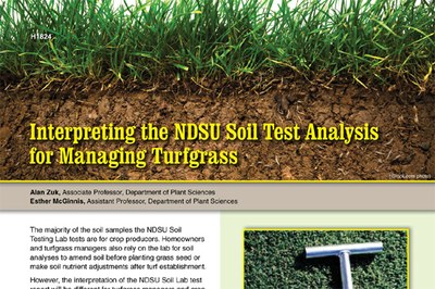 Soil Testing for Lawns