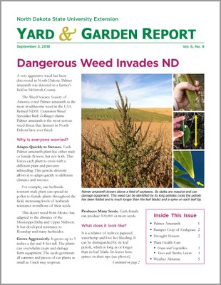 NDSU Yard & Garden Report for September 3, 2018