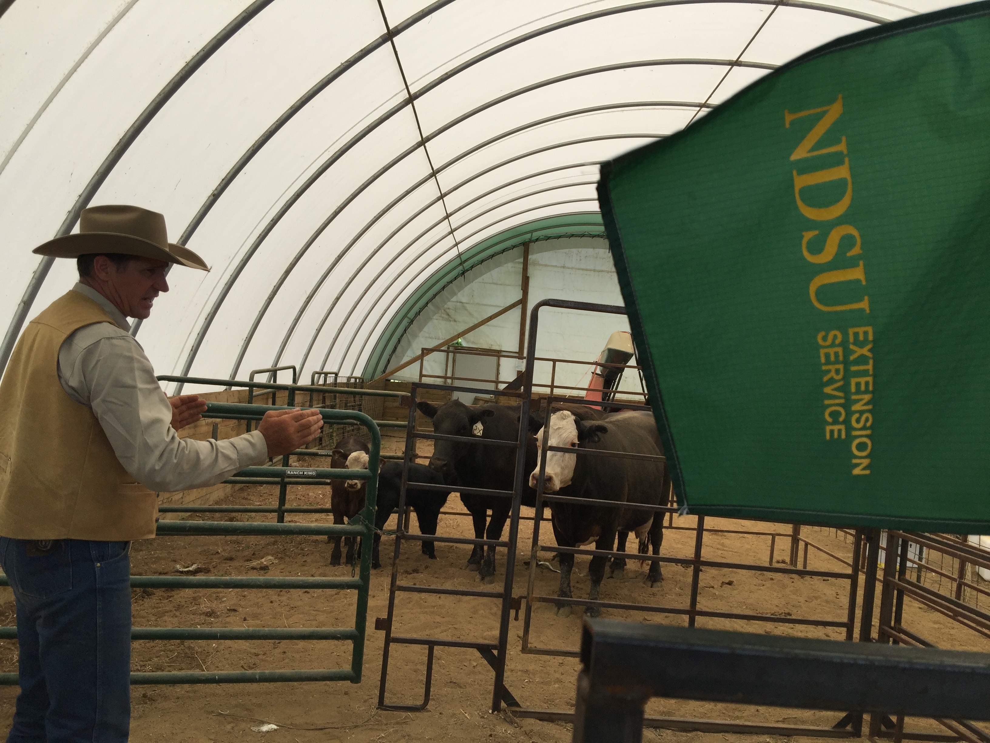 161213 ndsu flag mcclusky.JPG