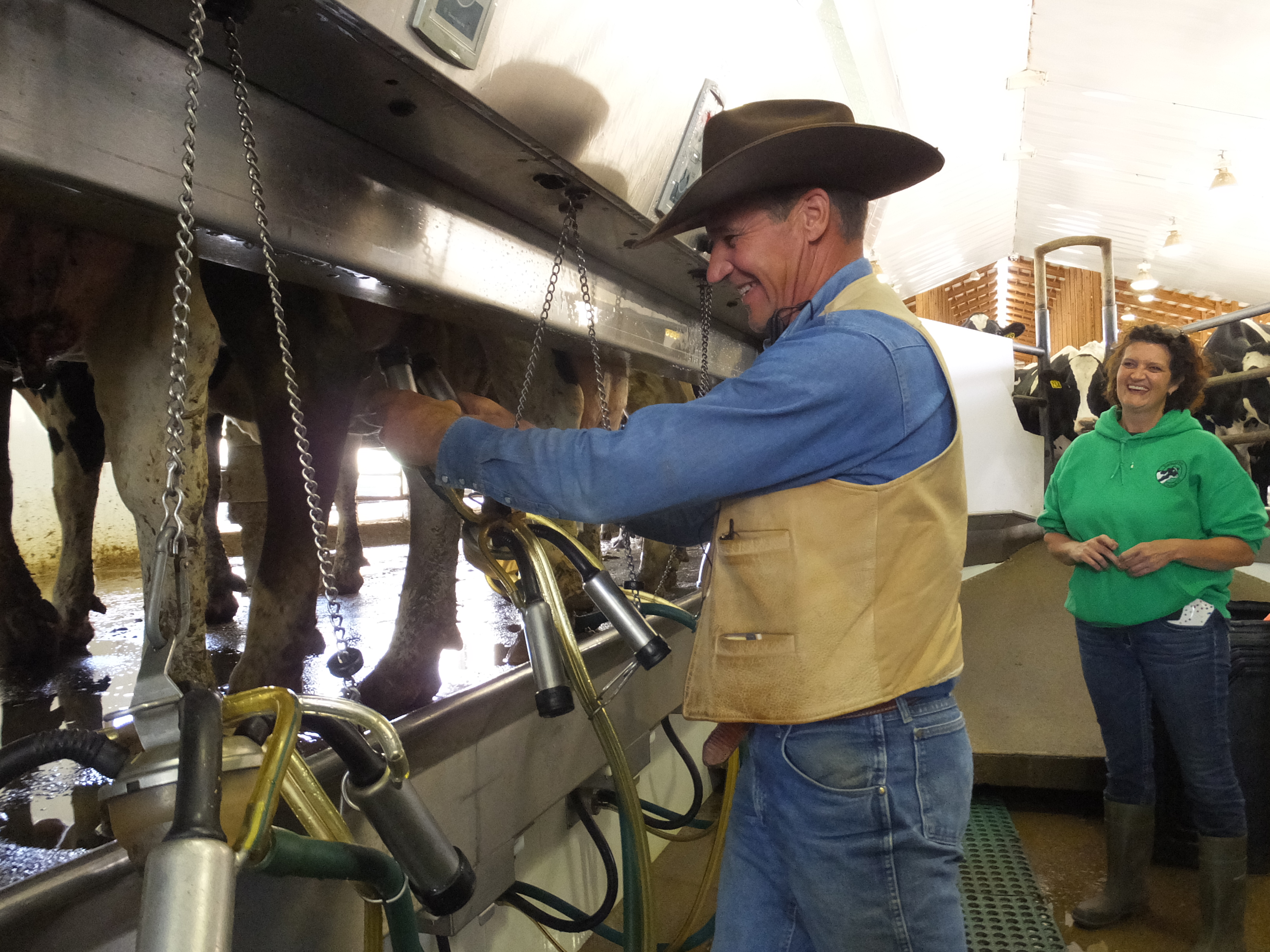 Curt Pate milking Van Bedaf Dairy