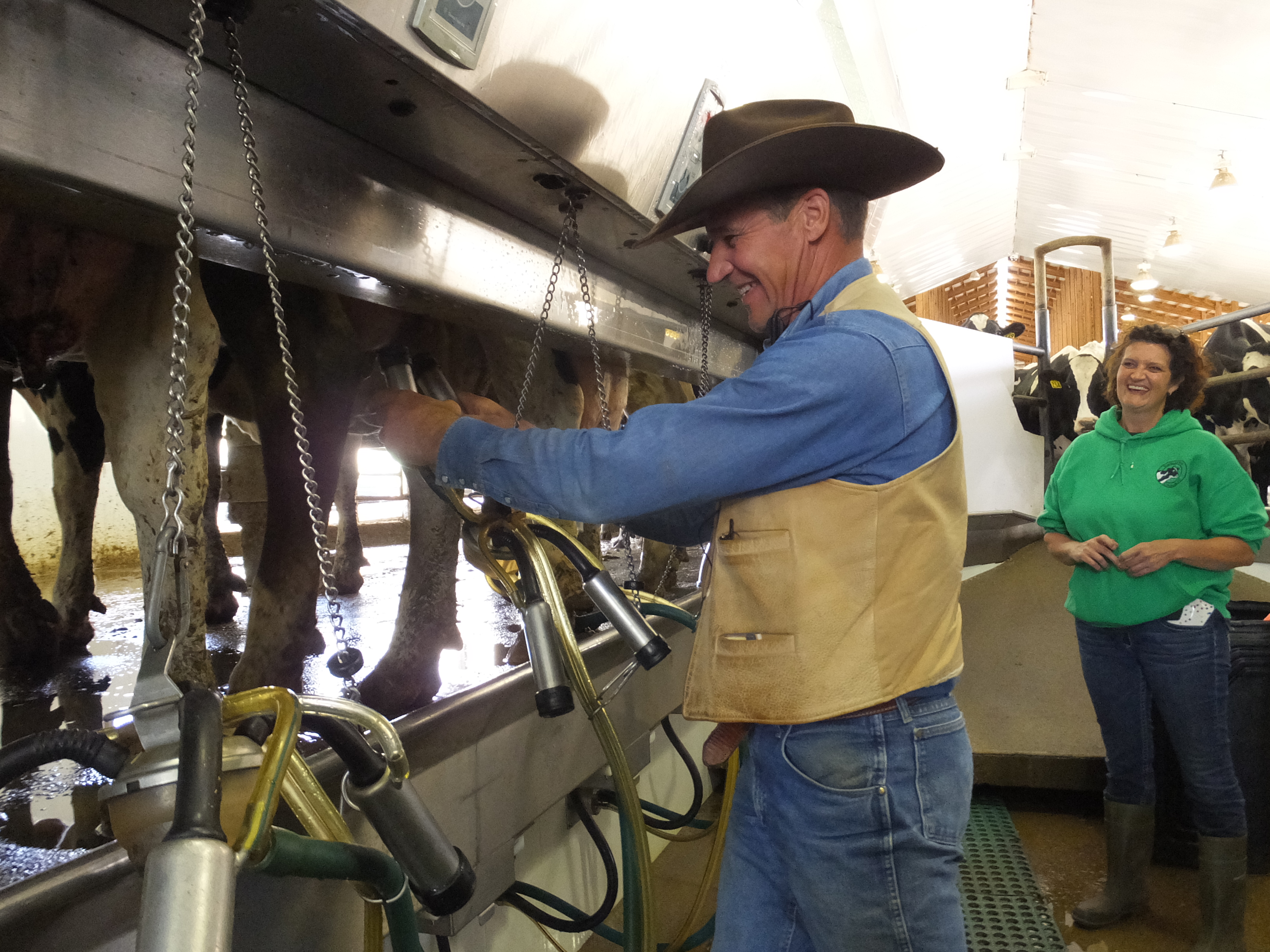 Handjobs Milking North Dakota Beef Quality Assurance