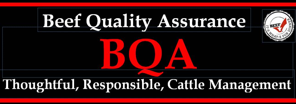 171010 BQA Thoughtful responsible cattle management