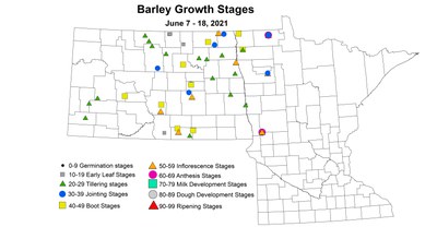 barleyGrowthStages 6.7 6.18