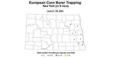 ecb new york 6.9 6.25