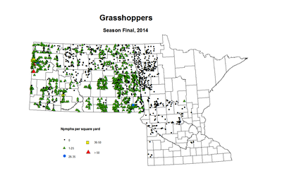 2014 Season Final Grasshopper Nymphs