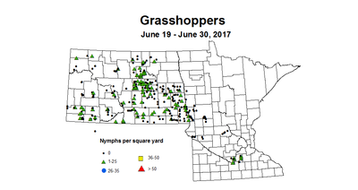 GH nymph swps 6 19 6 30 2017