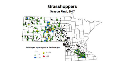 grasshoper adult season 2017