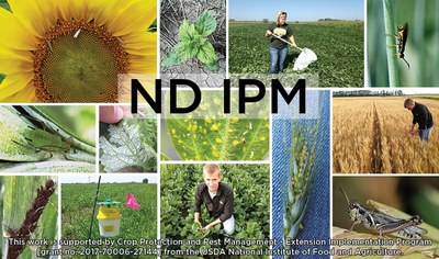 IPM logo