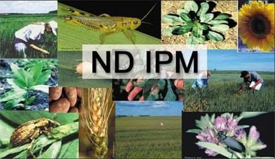 IPM Banner