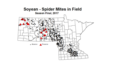 soybean mitesInField 2017