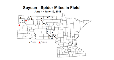 mites