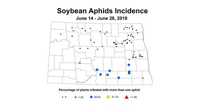 soybean aphidInc