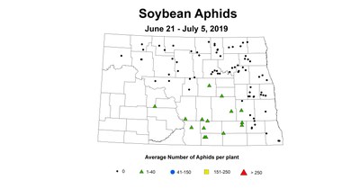 soybean average aphid
