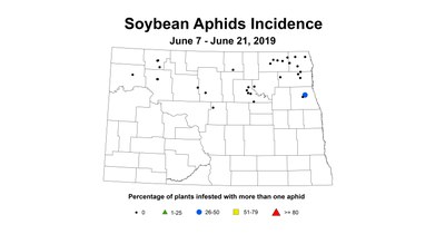 soybeanAphidIncidence