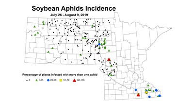 aphidIncidence