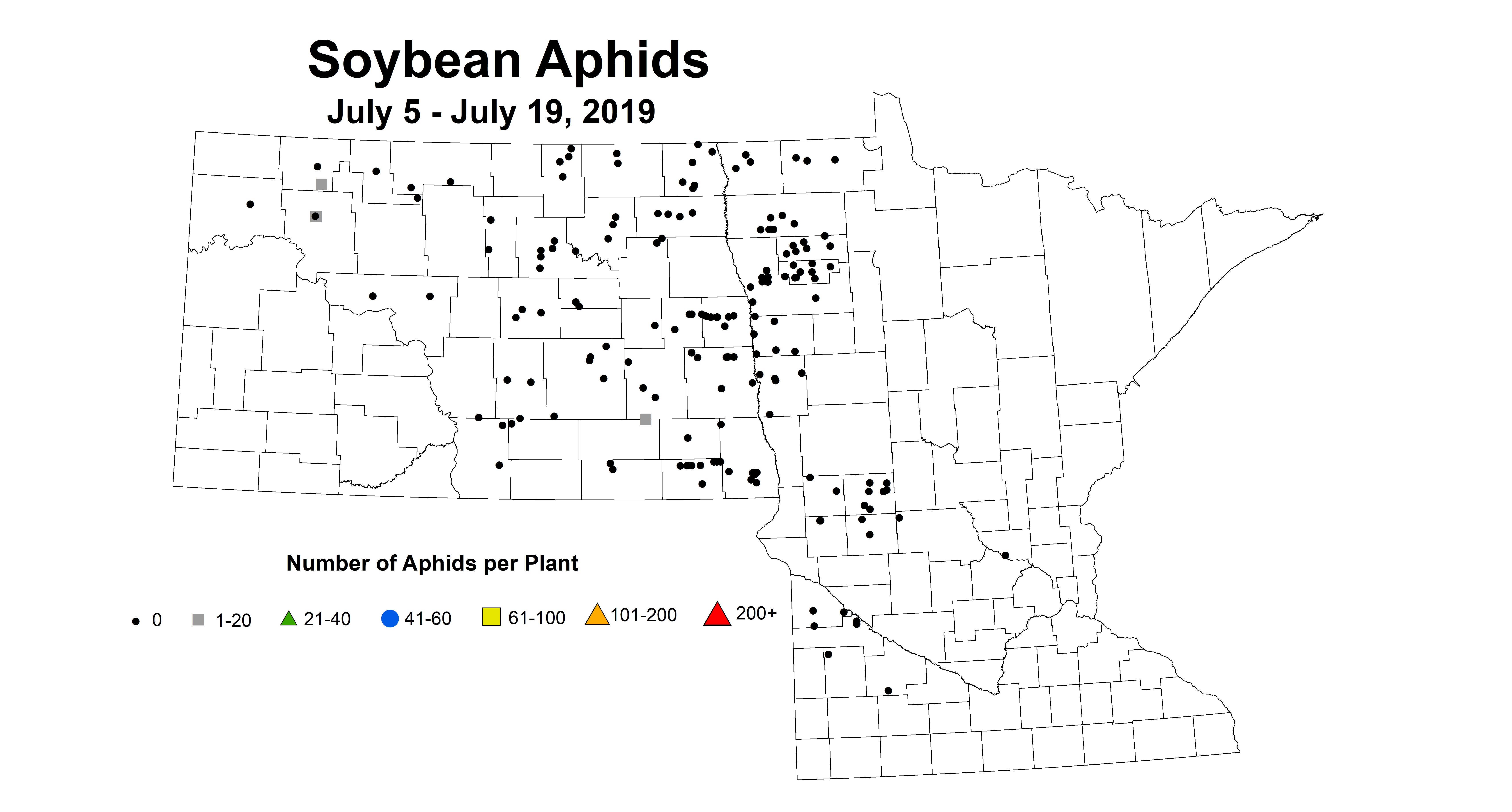 new soybean averageAphid