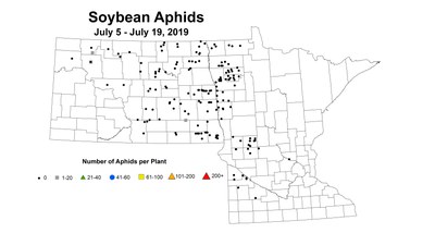 new soybean averageAphid