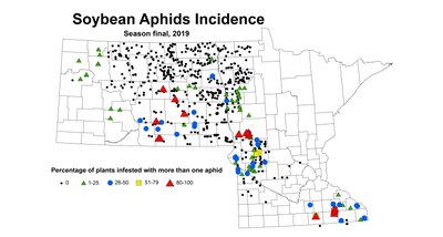 aphidIncidence