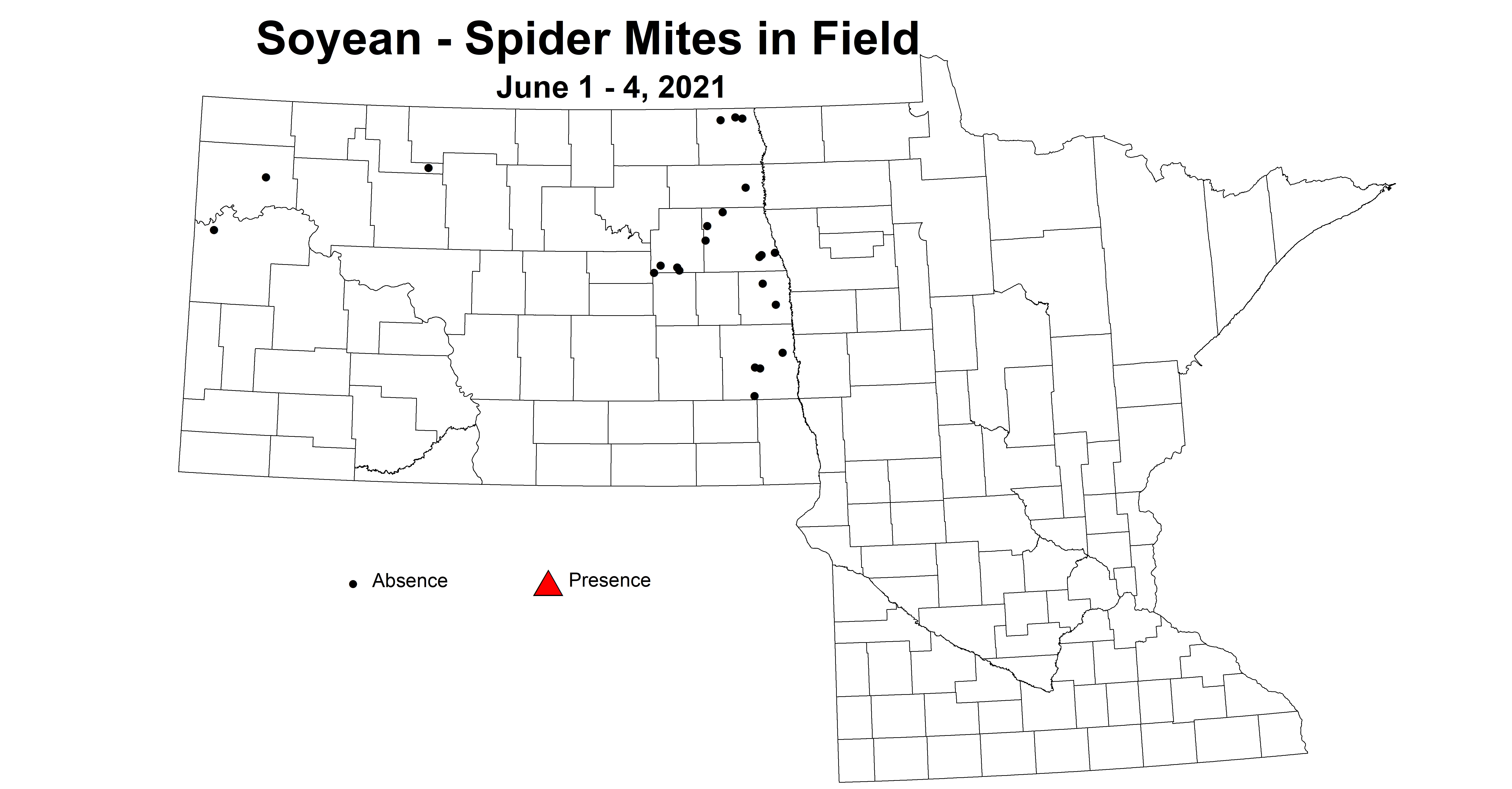 soybeanSpiderMitesInField6.1 6.4