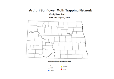 6 30 7 11 SunflowerTrap ASMTN