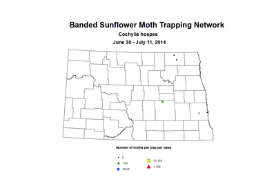 6 30 7 11 SunflowerTrap BSMTN