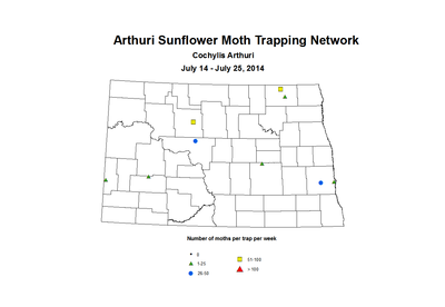 7 14 7 25 SunflowerTrap ASMTN