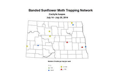 7 14 7 25 SunflowerTrap BSMTN