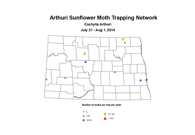 7 21 8 1 SunflowerTrap ASMTN