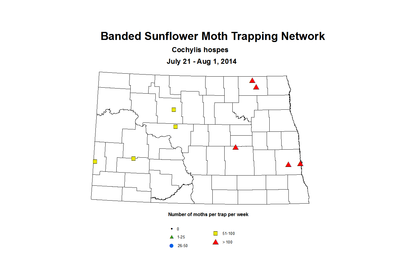 7 21 8 1 SunflowerTrap BSMTN