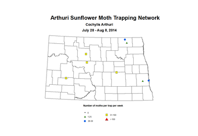 7 28 8 8 SunflowerTrap ASMTN