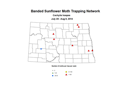 7 28 8 8 SunflowerTrap BSMTN
