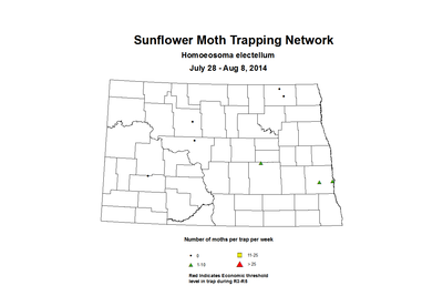 7 28 8 8 SunflowerTrap SMTN