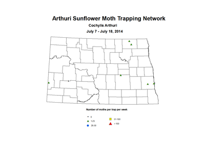 7 7 7 18 SunflowerTrap ASMTN