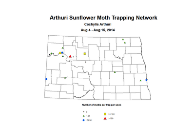 8 4 8 15 SunflowerTrap ASMTN