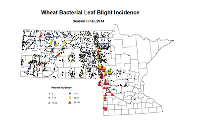 2014 Season Final Wheat BLB Inc