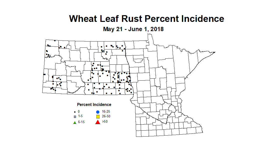 wheat LRI 5.21 6.1 2018