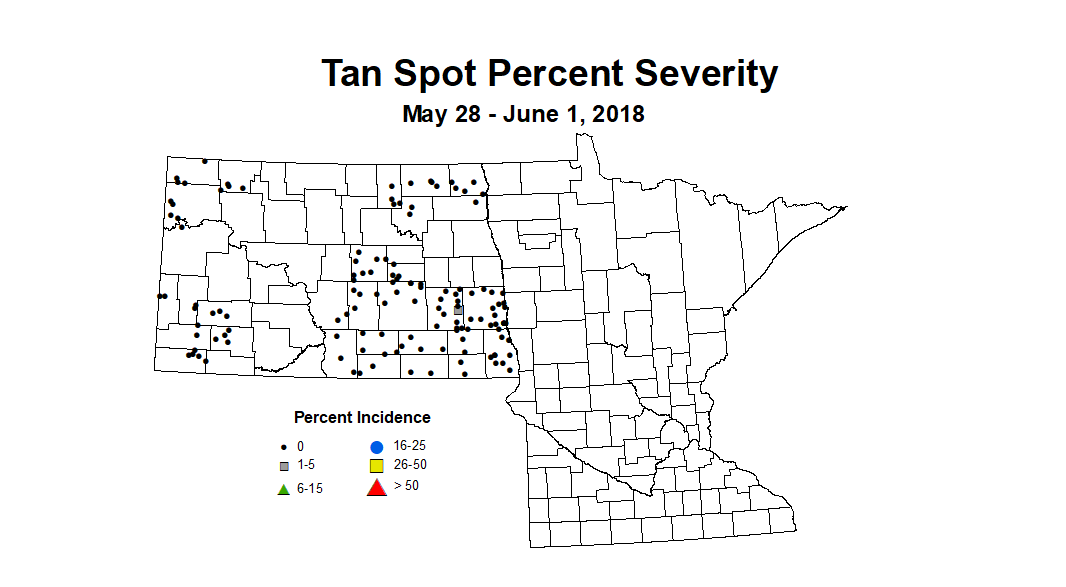 wheat TSSV 5.28 6.1 2018