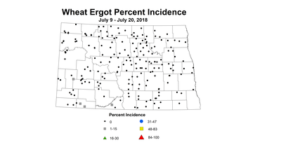 ergot