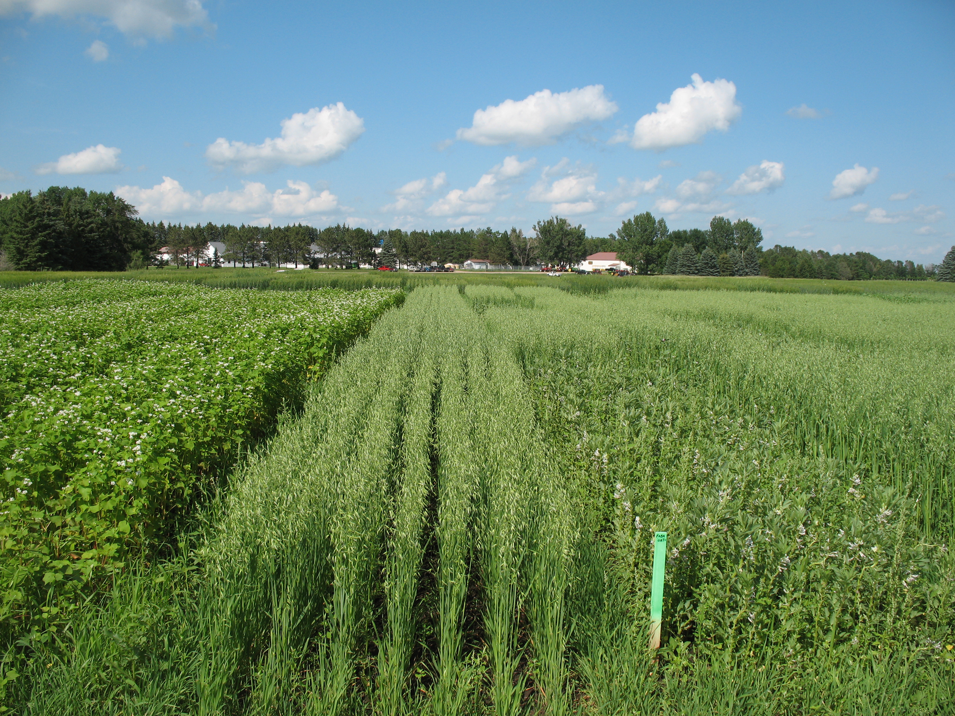 Organic plots