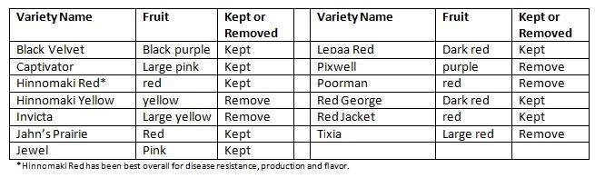 A table on gooseberry varieties that have been in the program.