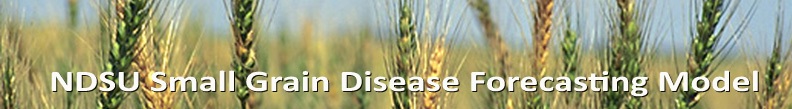 Small Disease banner