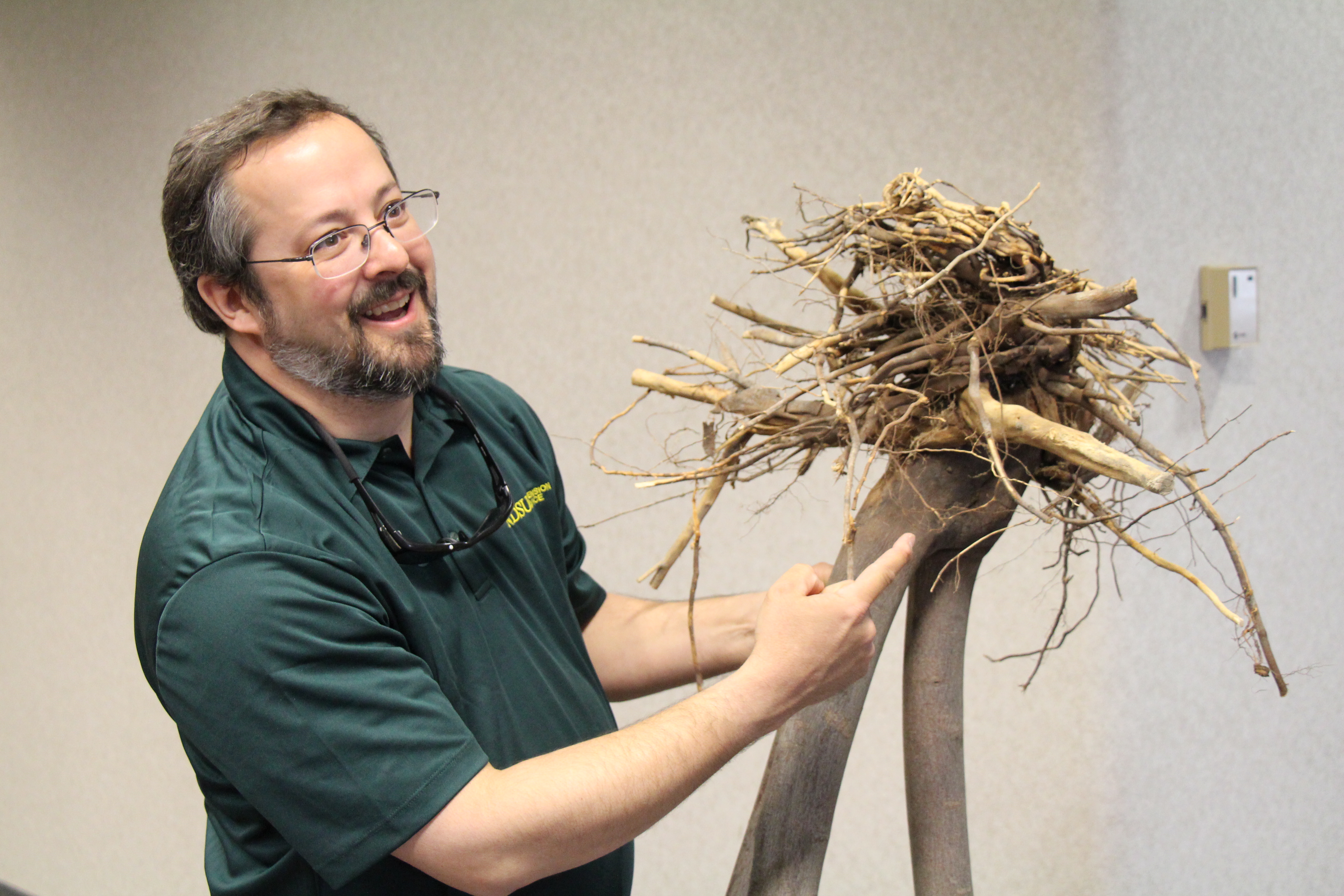Speaker showing tree roots