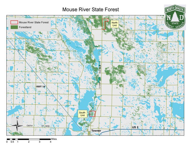 mouse river state forest